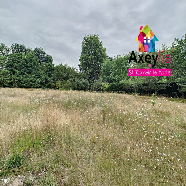 Offres de vente Terrain Briennon 42720